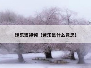 迷乐短视频（迷乐是什么意思）