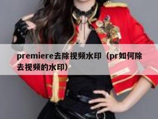 premiere去除视频水印（pr如何除去视频的水印）