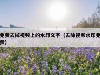 免费去掉视频上的水印文字（去除视频水印免费）