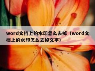 word文档上的水印怎么去掉（word文档上的水印怎么去掉文字）