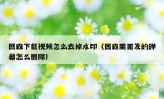 回森下载视频怎么去掉水印（回森里面发的弹幕怎么删除）