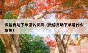 微信自助下单怎么发货（微信自助下单是什么意思）