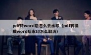 pdf转word后怎么去水印（pdf转换成word后水印怎么取消）