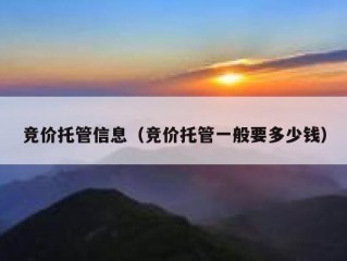 竞价托管信息（竞价托管一般要多少钱）