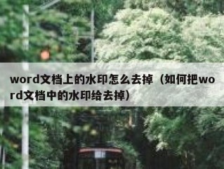 word文档上的水印怎么去掉（如何把word文档中的水印给去掉）