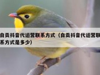 自贡抖音代运营联系方式（自贡抖音代运营联系方式是多少）