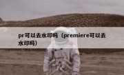 pr可以去水印吗（premiere可以去水印吗）