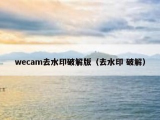 wecam去水印破解版（去水印 破解）