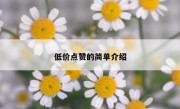 低价点赞的简单介绍