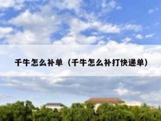 千牛怎么补单（千牛怎么补打快递单）