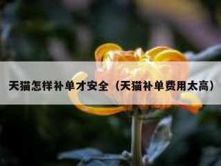 天猫怎样补单才安全（天猫补单费用太高）