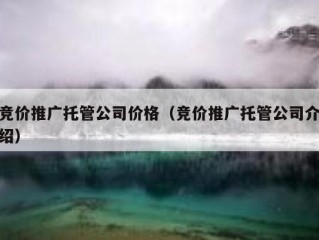 竞价推广托管公司价格（竞价推广托管公司介绍）