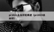 pr2022去水印无痕迹（pr2019去水印）