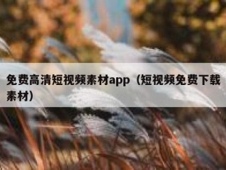 免费高清短视频素材app（短视频免费下载素材）