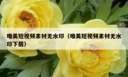 唯美短视频素材无水印（唯美短视频素材无水印下载）