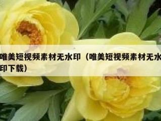 唯美短视频素材无水印（唯美短视频素材无水印下载）