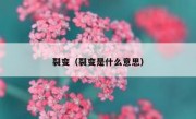 裂变（裂变是什么意思）