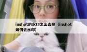 inshot的水印怎么去掉（inshot如何去水印）