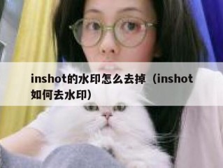 inshot的水印怎么去掉（inshot如何去水印）