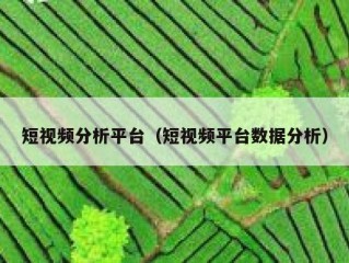 短视频分析平台（短视频平台数据分析）