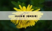 2022补单（啥叫补单）