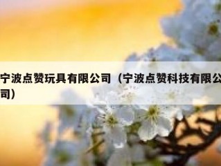 宁波点赞玩具有限公司（宁波点赞科技有限公司）