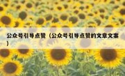 公众号引导点赞（公众号引导点赞的文章文案）