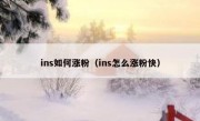 ins如何涨粉（ins怎么涨粉快）