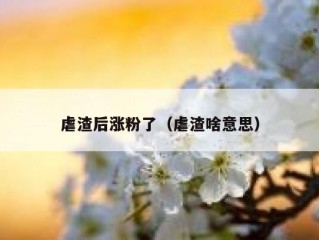 虐渣后涨粉了（虐渣啥意思）