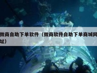 微商自助下单软件（微商软件自助下单商城网址）