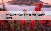 pdf格式水印怎么去掉（pdf格式怎么消除水印）