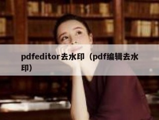 pdfeditor去水印（pdf编辑去水印）