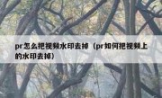 pr怎么把视频水印去掉（pr如何把视频上的水印去掉）