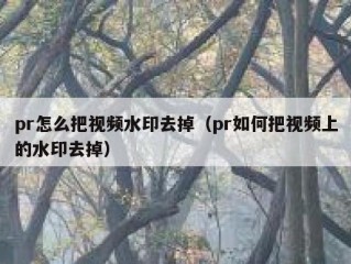 pr怎么把视频水印去掉（pr如何把视频上的水印去掉）