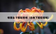 哪里能下载短视频（去哪下载短视频）