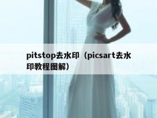 pitstop去水印（picsart去水印教程图解）