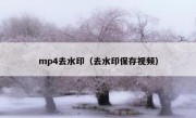 mp4去水印（去水印保存视频）