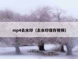 mp4去水印（去水印保存视频）