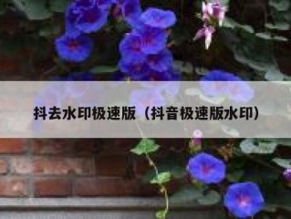 抖去水印极速版（抖音极速版水印）