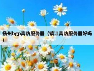 扬州bgp高防服务器（镇江高防服务器好吗）