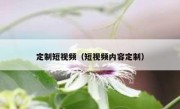 定制短视频（短视频内容定制）