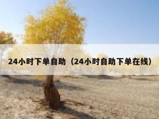 24小时下单自助（24小时自助下单在线）