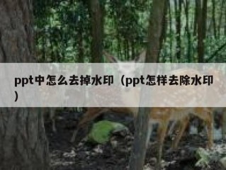 ppt中怎么去掉水印（ppt怎样去除水印）