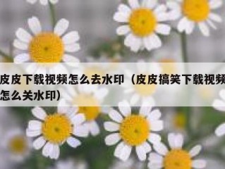 皮皮下载视频怎么去水印（皮皮搞笑下载视频怎么关水印）