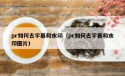 pr如何去字幕和水印（pr如何去字幕和水印图片）