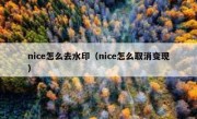 nice怎么去水印（nice怎么取消变现）