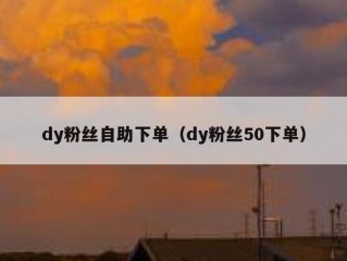 dy粉丝自助下单（dy粉丝50下单）