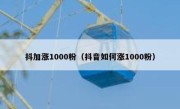 抖加涨1000粉（抖音如何涨1000粉）