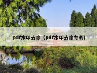 pdf水印去除（pdf水印去除专家）