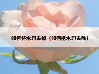 如何将水印去掉（如何把水印去除）